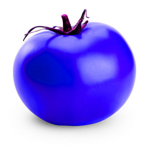 tomato bleu