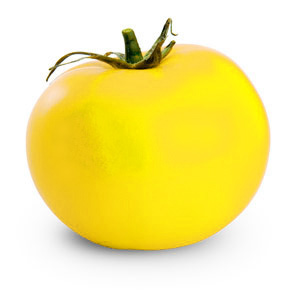 tomato jaune